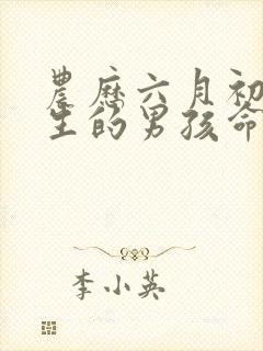 农历六月初六出生的男孩命运封面