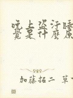 晚上盗汗睡不着觉是什么原因