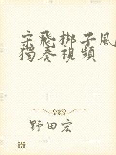 宋飞梆子风二胡独奏视频