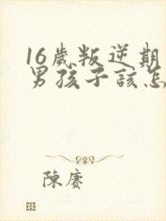 16岁叛逆期的男孩子该怎样去沟通教育