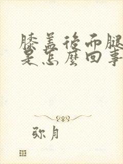 膝盖后面腿弯疼是怎么回事