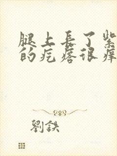 腿上长了紫黑色的疙瘩很痒封面