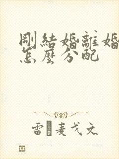 刚结婚离婚财产怎么分配封面