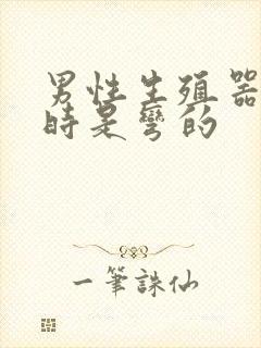 男性生殖器勃起时是弯的