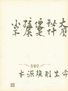 小孩便秘大便拉羊屎是什么原因