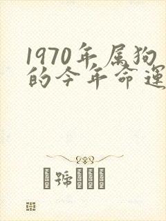 1970年属狗的今年命运如何