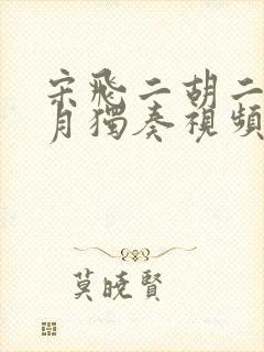 宋飞二胡二泉映月独奏视频