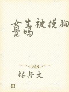 女生被摸胸有感觉吗封面