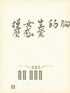 摸女生的胸是什么感觉