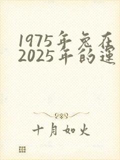 1975年兔在2025年的运气怎样