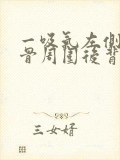 一吸气左侧肩胛骨周围后背里面疼封面