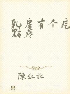 乳房有个疙瘩有点疼