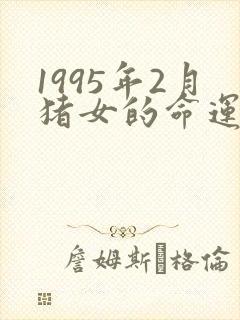 1995年2月猪女的命运怎么样