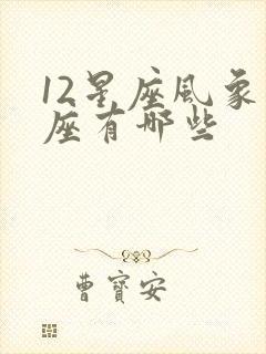 12星座风象星座有哪些封面