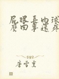 屁眼长肉球是怎么回事还疼