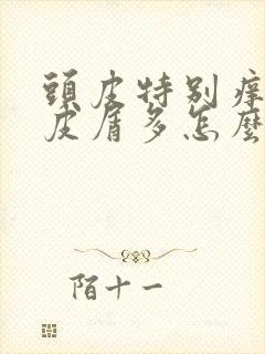 头皮特别痒还头皮屑多怎么办封面