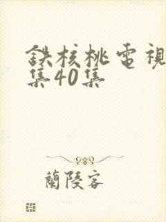 铁核桃电视剧全集40集封面