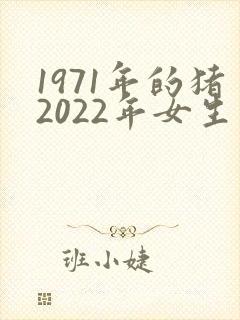 1971年的猪2022年女生幸运色