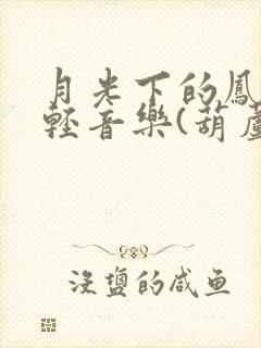 月光下的凤尾竹轻音乐(葫芦丝)封面