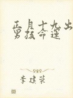 正月十九出生的男孩命运封面