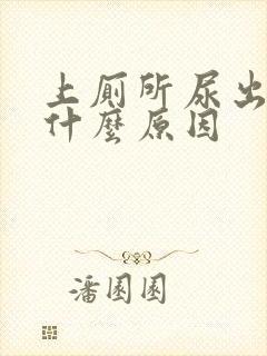 上厕所尿出血是什么原因