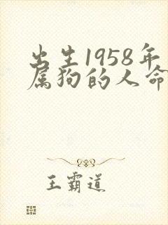 出生1958年属狗的人命运如何
