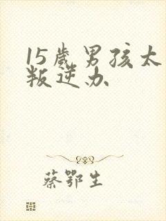 15岁男孩太的叛逆办