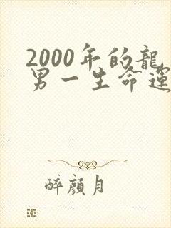 2000年的龙男一生命运