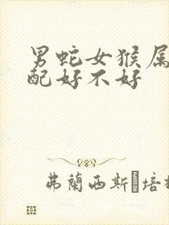 男蛇女猴属相婚配好不好