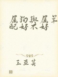 属狗与属羊的婚配好不好