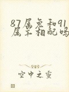 87属兔和91属羊相配吗