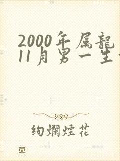 2000年属龙11月男一生命运封面