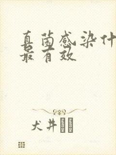 真菌感染什么药最有效封面