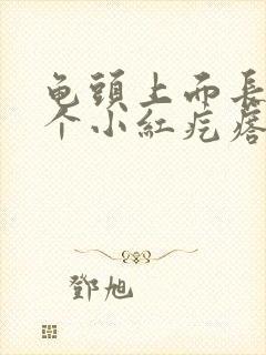 龟头上面长了一个小红疙瘩