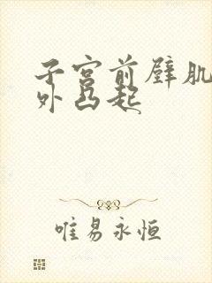 子宫前壁肌瘤向外凸起