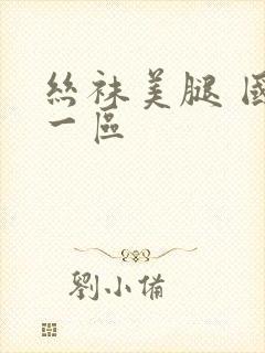 丝袜美腿 国产一区封面