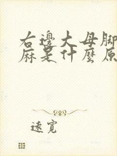 右边大母脚趾头麻是什么原因封面