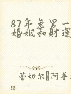 87年兔男一生婚姻和财运