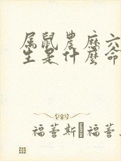 属鼠农历六月出生是什么命