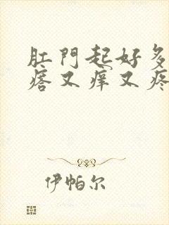 肛门起好多小疙瘩又痒又疼怎么回事封面