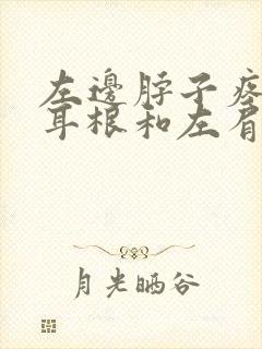 左边脖子疼连着耳根和左肩也疼