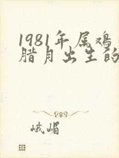 1981年属鸡腊月出生的命运