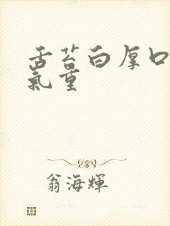 舌苔白厚口苦湿气重