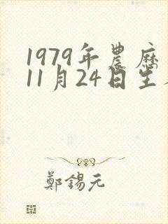 1979年农历11月24日生人八字