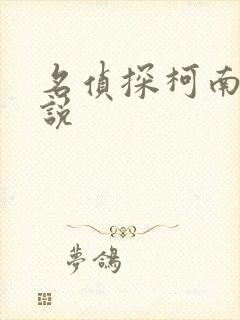 名侦探柯南h小说