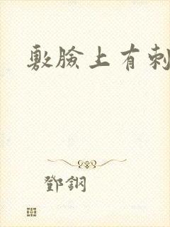 敷脸上有刺痛感