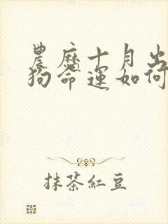 农历十月出生的狗命运如何