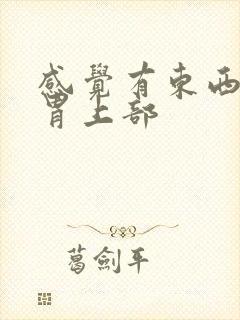 感觉有东西堵在胃上部