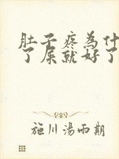 肚子疼为什么拉了屎就好了封面