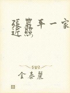 张严平一家三口近照